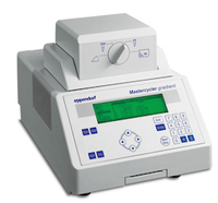 PCR仪-5331